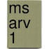 Ms Arv 1
