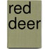 Red Deer