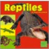 Reptiles