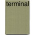 Terminal