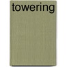 Towering door Alex Flinn