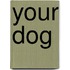 Your Dog