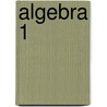 Algebra 1 door Paul A. Kennedy
