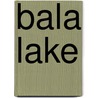 Bala Lake door Ronald Cohn