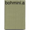 Bohmini.A door Ronald Cohn