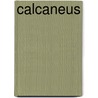 Calcaneus door Adam Cornelius Bert