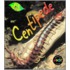 Centipede