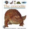 Crocodile by Sylvaine Peyrols