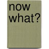Now What? by William Cope Moyers