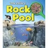 Rock Pool