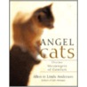 Angel Cats door Linda Anderson