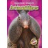 Armadillos