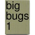 Big Bugs 1