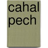 Cahal Pech by Ronald Cohn
