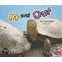 In and Out