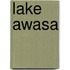 Lake Awasa