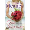 One Summer by Roisin Meaney