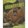 Orangutans door Sally Morgan