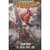Spider-Man door Phil Jimenez