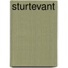 Sturtevant by Daniel Birnbaum