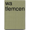 Wa Tlemcen door Adam Cornelius Bert
