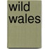 Wild Wales