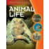 Animal Life