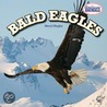 Bald Eagles door Meryl Magby