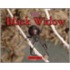 Black Widow