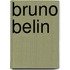 Bruno Belin