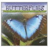 Butterflies by Jason Cooper