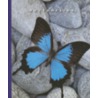 Butterflies door Sophie Lockwood