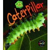Caterpillar by Philip Taylor
