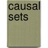 Causal Sets