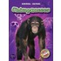 Chimpanzees