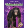 Chimpanzees door Derek Zobel