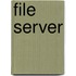 File Server