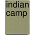 Indian Camp