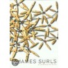 James Surls by James Surls
