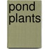 Pond Plants