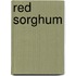 Red Sorghum