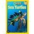 Sea Turtles