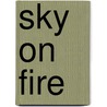 Sky on Fire by Emmy Laybourne