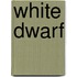 White Dwarf