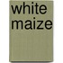 White Maize