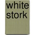 White Stork