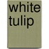 White Tulip