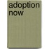 Adoption Now