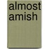 Almost Amish