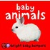 Baby Animals